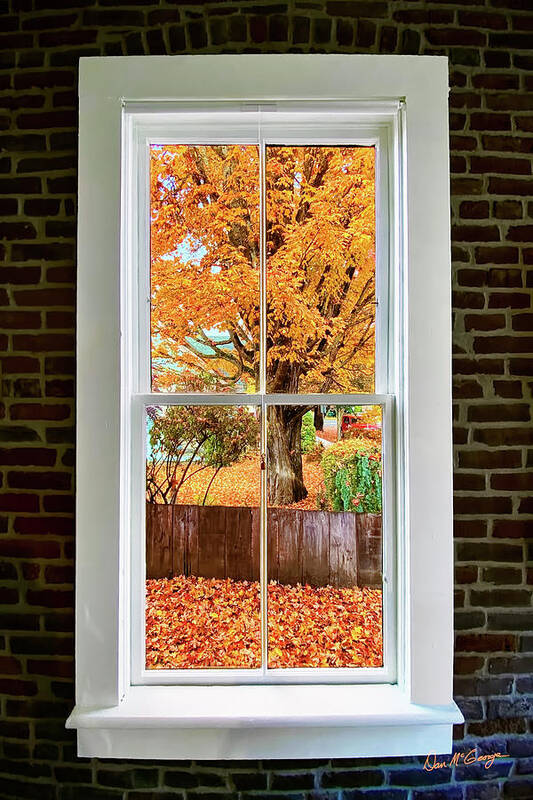 Window Art Print featuring the photograph Window to Fall by Dan McGeorge