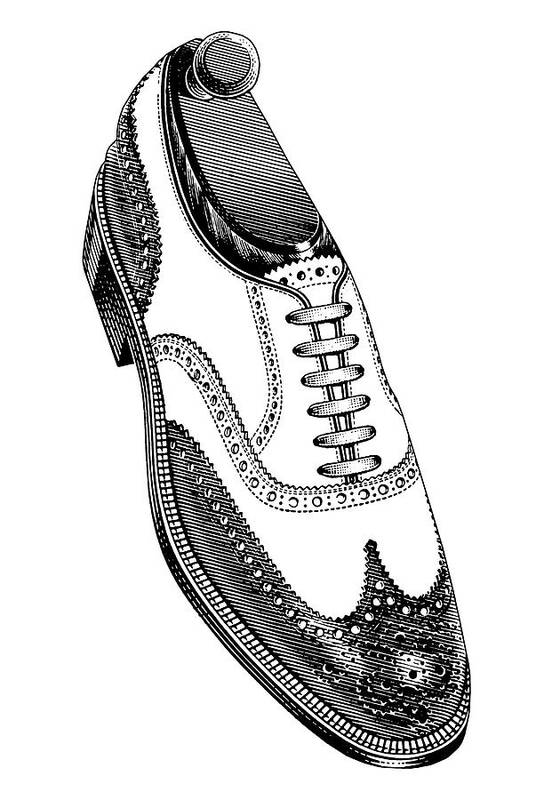 Black And White Art Print featuring the drawing Wingtip Dress Shoe by CSA Images