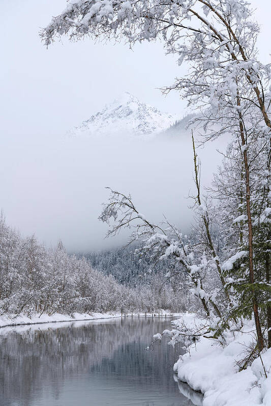 Alaska Art Print featuring the photograph Winter by Chad Dutson