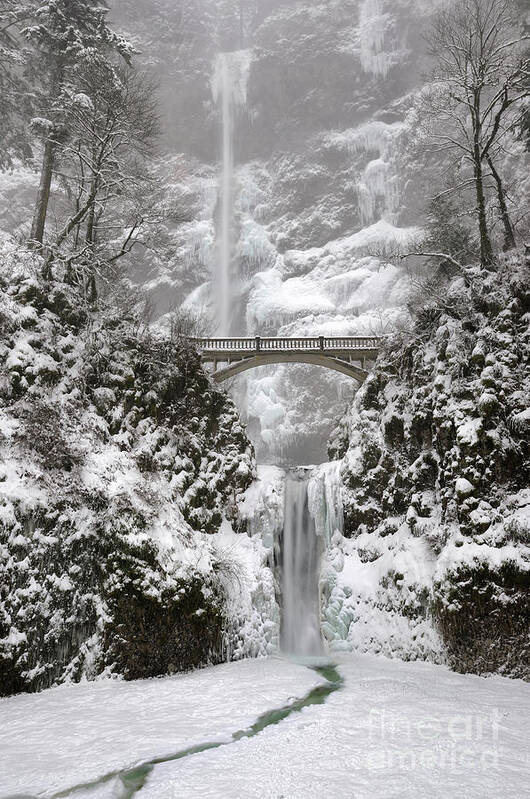 Multnomah Falls Art Print featuring the photograph Multnomah Falls covered in Winter Snow and Ice by Tom Schwabel