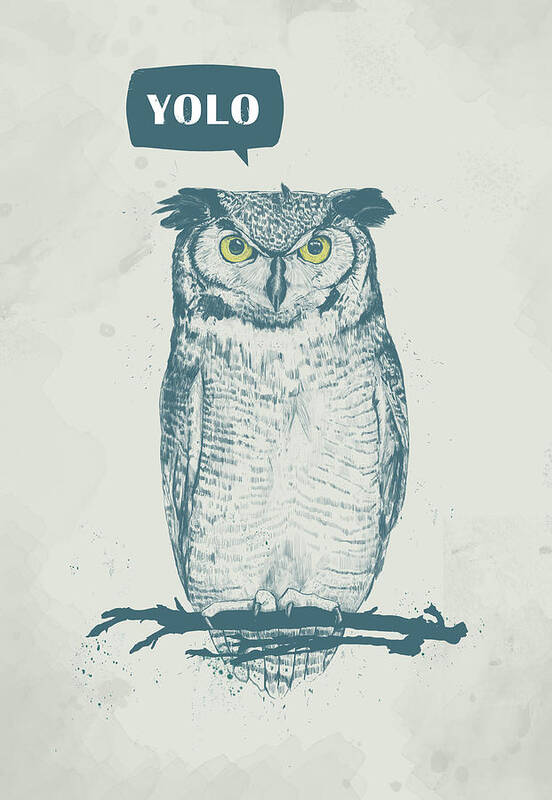 Owl Art Print featuring the mixed media Yolo by Balazs Solti