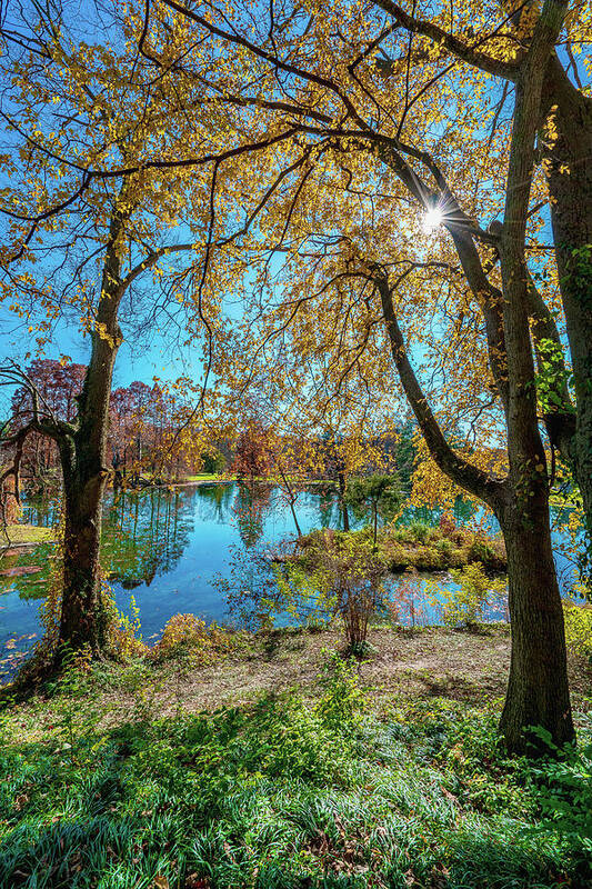 Mirror Art Print featuring the photograph Beautiful View Overlooking A Lake At Spring Grove Cemetery Cincinnati Ohio by Dave Morgan