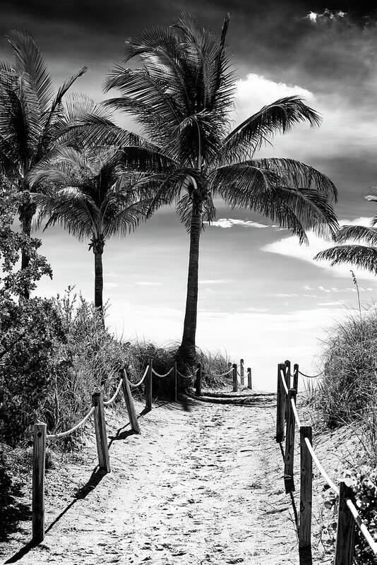Florida Art Print featuring the photograph Black Florida Series - Boardwalk Beach by Philippe HUGONNARD