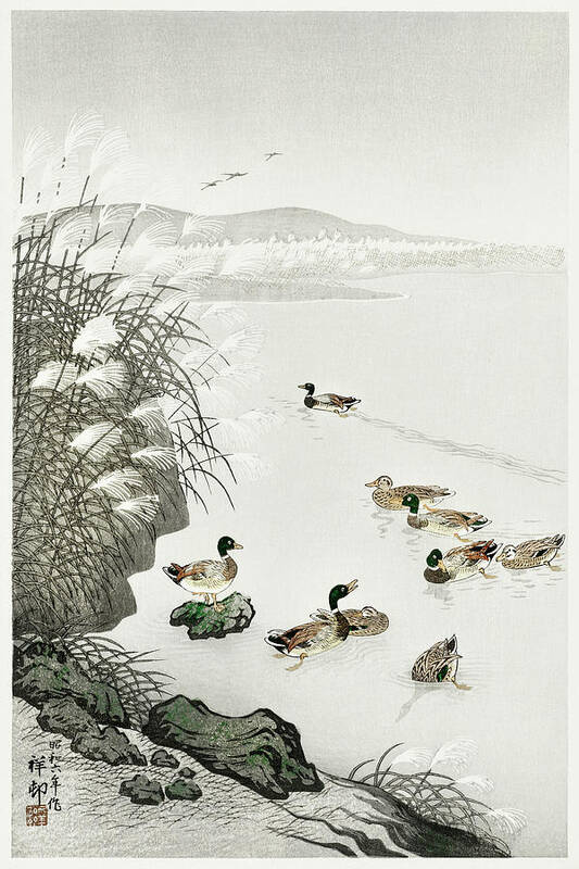 Ducks Art Print featuring the mixed media Ducks in the water #1 by World Art Collective