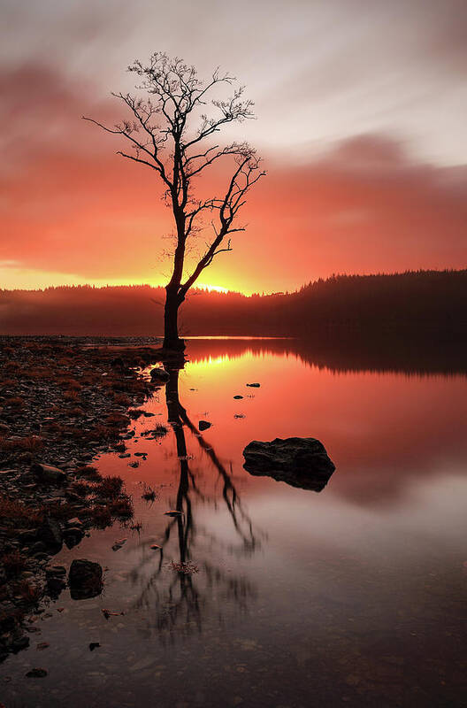 Loch Ard Art Print featuring the photograph Loch Ard Sunrise #2 by Grant Glendinning