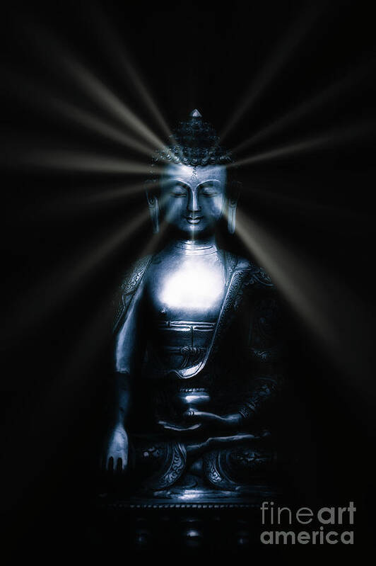 Buddha Art Print featuring the photograph Stillness by Tim Gainey
