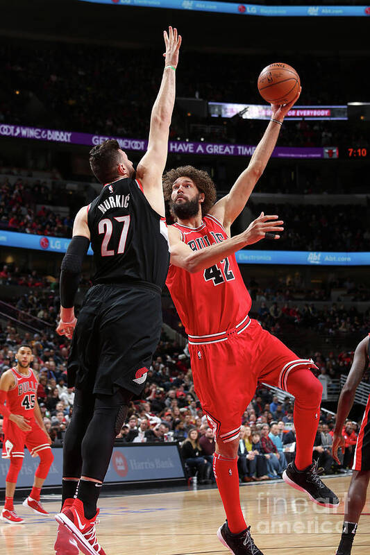 Robin Lopez Art Print featuring the photograph Robin Lopez by Gary Dineen
