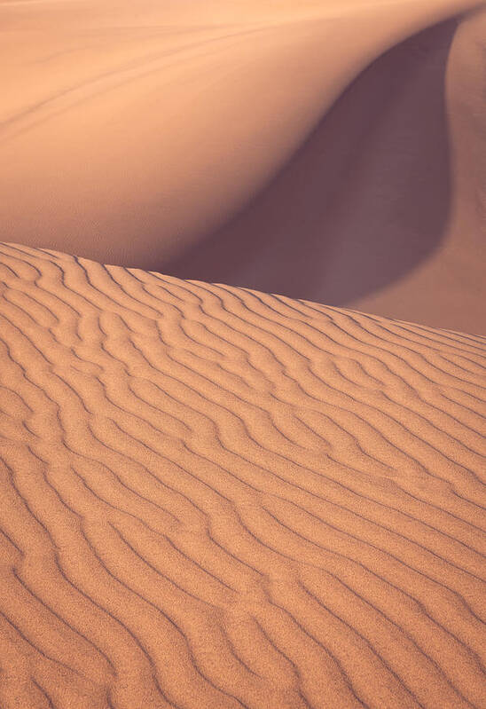 Sand Dunes Art Print featuring the photograph Sand Dune with Movement by Peter Boehringer