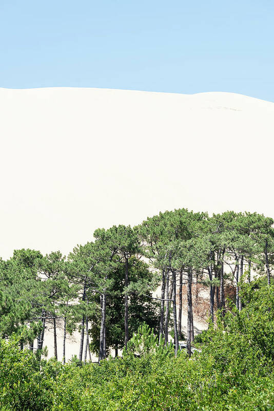 Aquitaine Art Print featuring the photograph The Dune of Pilat #1 by Manjik Pictures