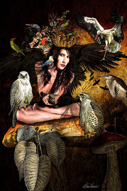 Birds Art Print featuring the digital art The Winged Messenger #1 by Diana Haronis