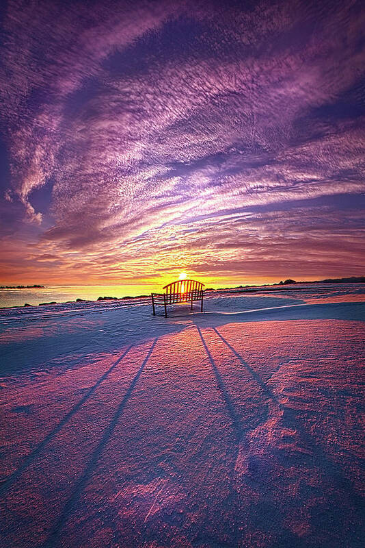 Season Art Print featuring the photograph Thy Will Be Done #1 by Phil Koch