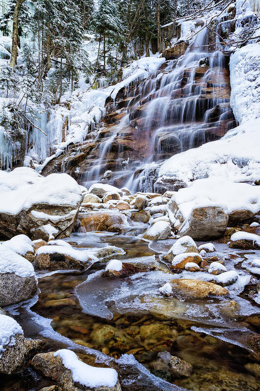 White Mountain National Forest Art Print featuring the photograph Winter Cloudland #1 by Jeff Sinon