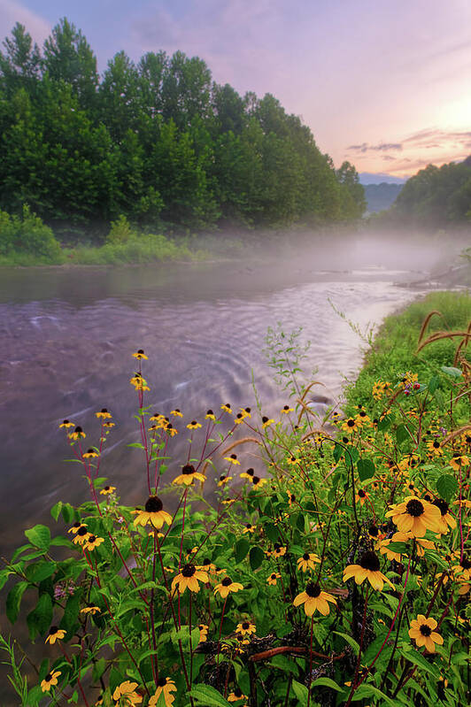 Wildflowers Art Print featuring the photograph Little Piney Creek by Robert Charity