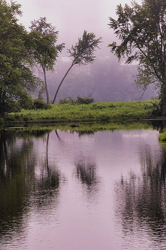 East Dover Vermont Art Print featuring the photograph Retreat Meadows Fog #2 by Tom Singleton