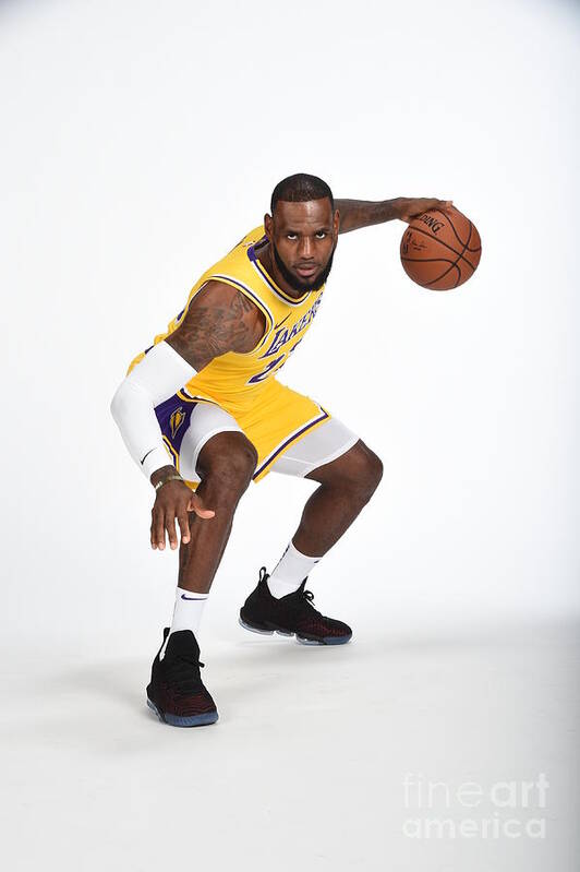 Media Day Art Print featuring the photograph Lebron James by Andrew D. Bernstein