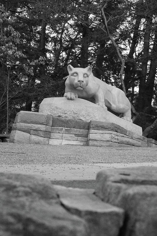 State College Pennsylvania Art Print featuring the photograph Nittany Lion Shrine at Penn State University in black and white #3 by Eldon McGraw
