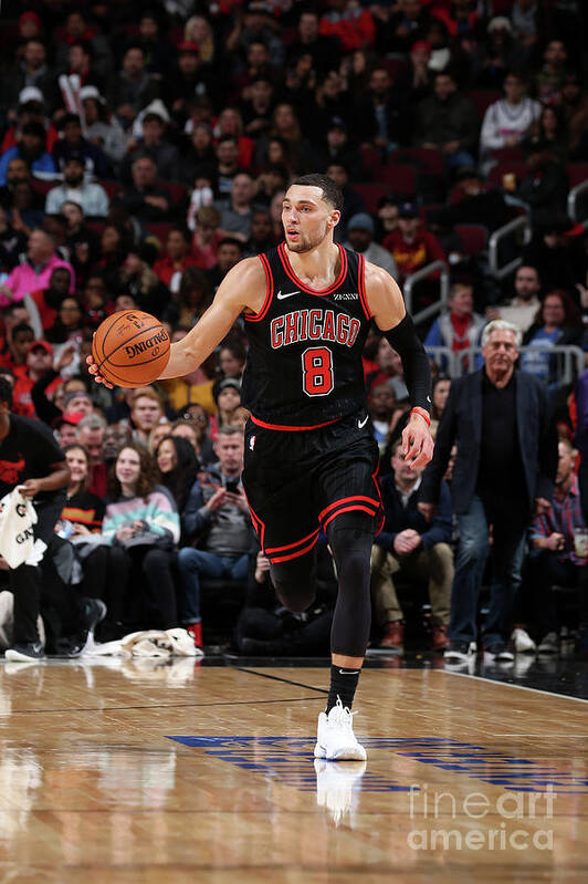 Chicago Bulls Art Print featuring the photograph Zach Lavine by Gary Dineen