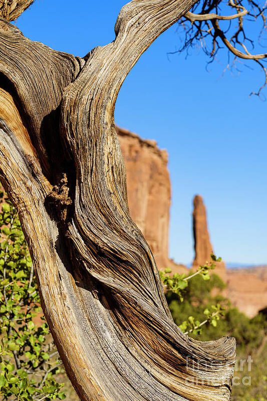 Arches National Park Art Print featuring the photograph Arches National Park #32 by Raul Rodriguez