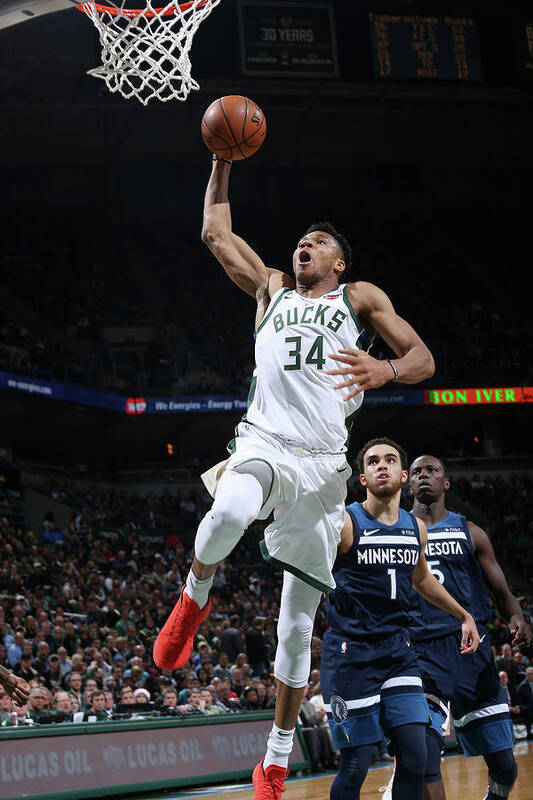 Nba Pro Basketball Art Print featuring the photograph Giannis Antetokounmpo by Gary Dineen