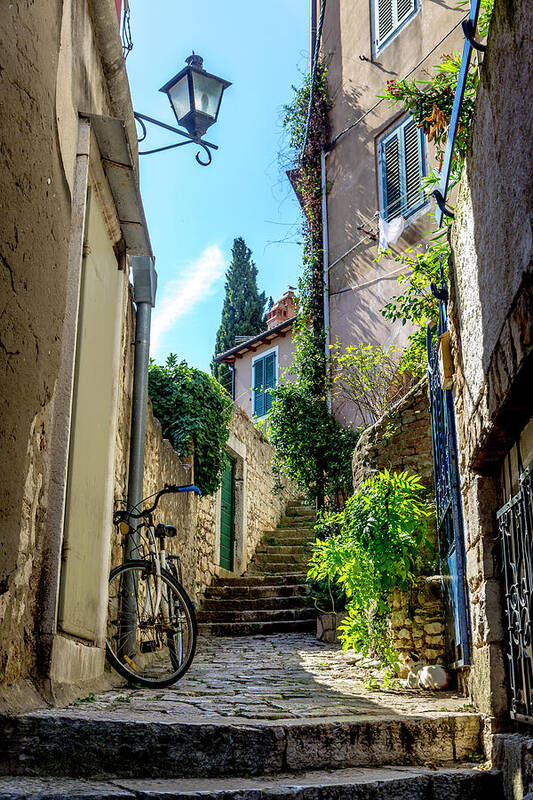 Travel Art Print featuring the photograph A back Street of Rovinj by W Chris Fooshee
