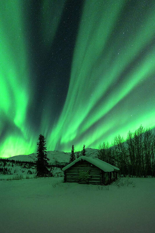 Aurora Art Print featuring the photograph A Cabin in the Lights by Laura Hedien