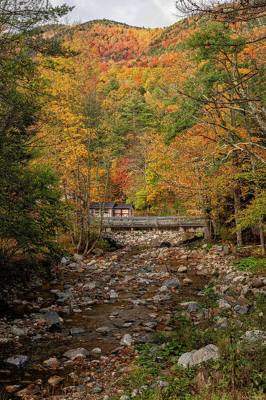 Fall Art Print featuring the photograph A Fall scene by Mark Papke