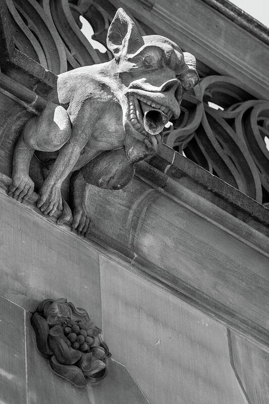 Architecture Art Print featuring the photograph A Gargoyle in Strasbourg - 1 by W Chris Fooshee