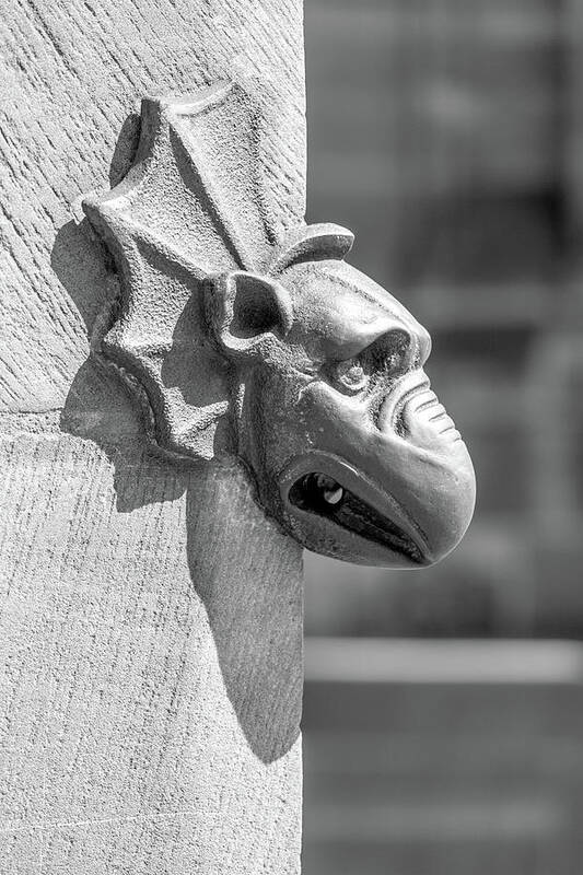 Architecture Art Print featuring the photograph A Grotesque in Strasbourg - 3 by W Chris Fooshee