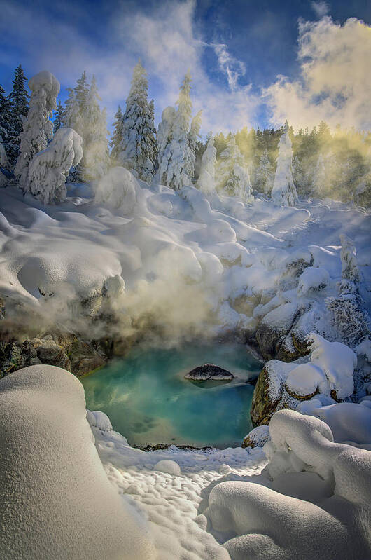Yellowstone Art Print featuring the photograph A Warm Winter Pool by Laura Hedien