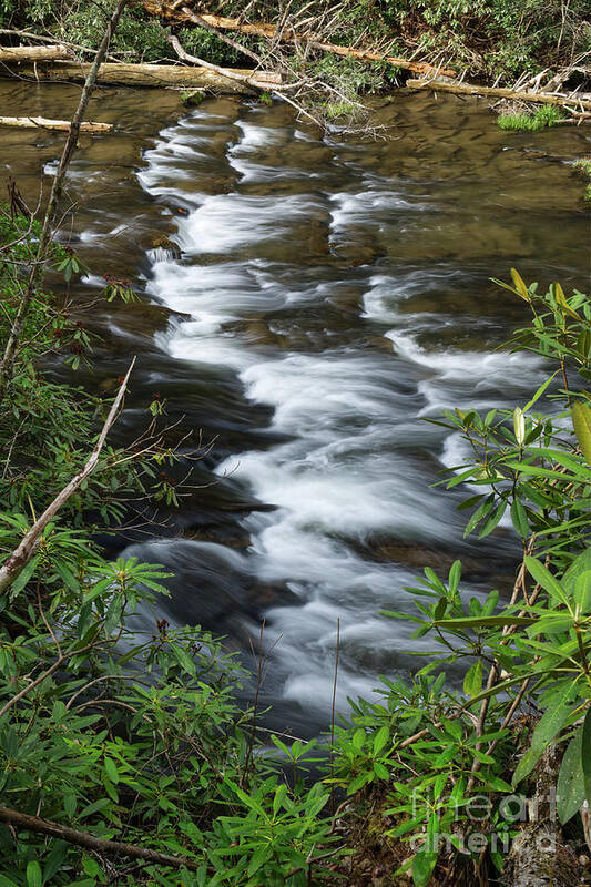 Abrams Falls Art Print featuring the photograph Abrams Creek 2 by Phil Perkins