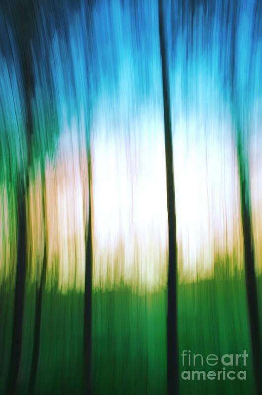 Abstract Art Print featuring the photograph Abstract woodland by Vicente Sargues