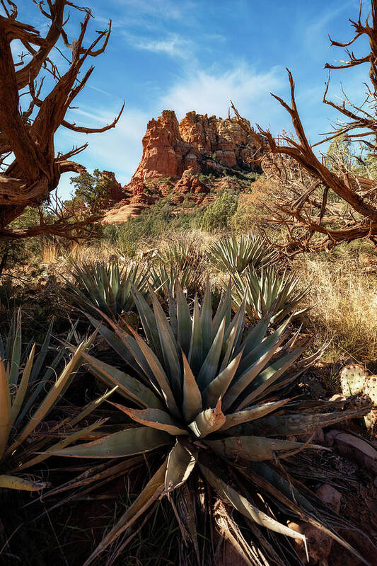 Arizona Art Print featuring the photograph All Ends Well by Andy Kunz