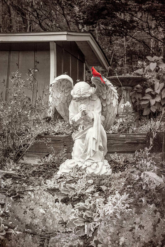 Barns Art Print featuring the photograph Angel in the Garden in Vintage Sepia by Debra and Dave Vanderlaan