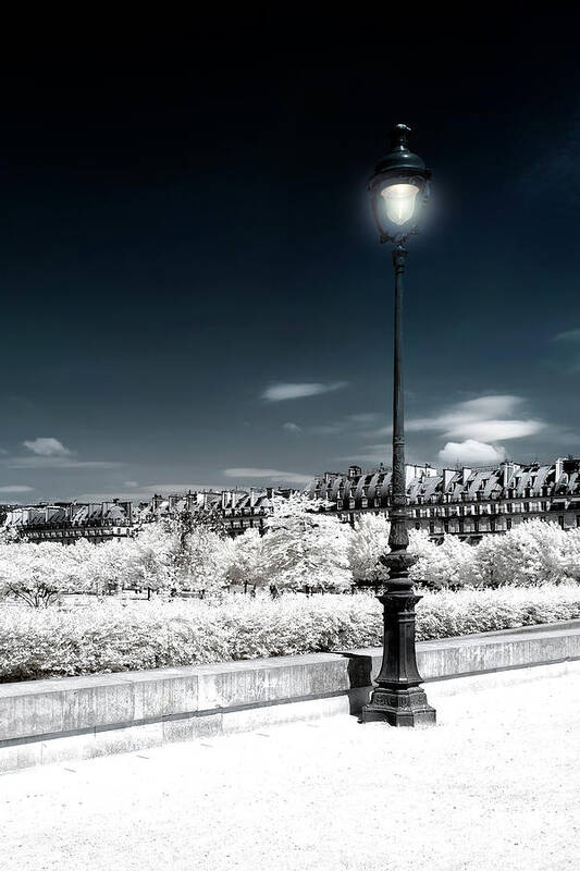 Paris Art Print featuring the photograph Another Look - Day Light III by Philippe HUGONNARD