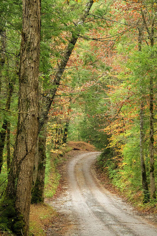 Great Smoky Mountains National Park Art Print featuring the photograph Around the Next Bend, Fall in Cades Cove by Marcy Wielfaert