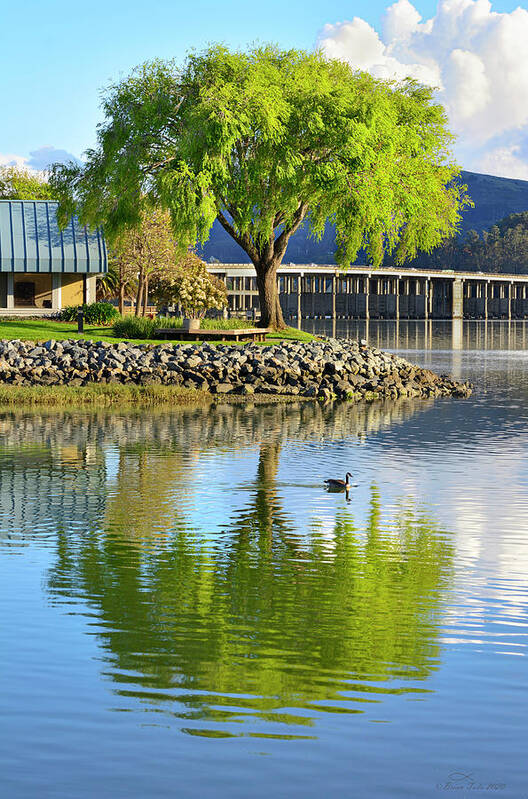 Peaceful Art Print featuring the photograph At the Lagoon by Richardson Bay by Brian Tada