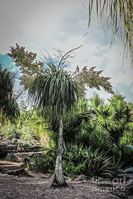 Spikey Art Print featuring the digital art Australian Botanical by Susan Vineyard