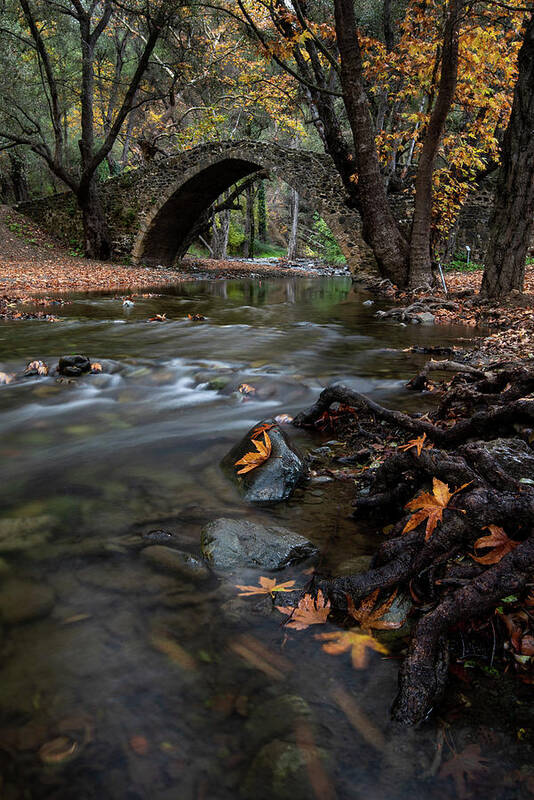 Autumn Art Print featuring the photograph Autumn landscape with river flowing under a stoned bridge by Michalakis Ppalis