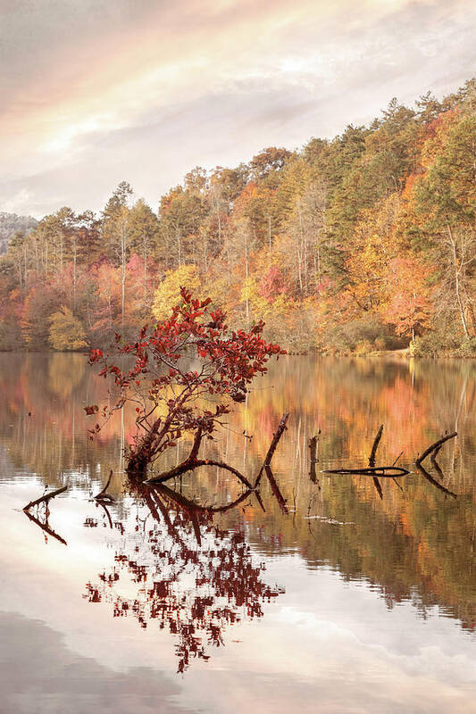 Carolina Art Print featuring the photograph Autumn Red Country Reflections by Debra and Dave Vanderlaan