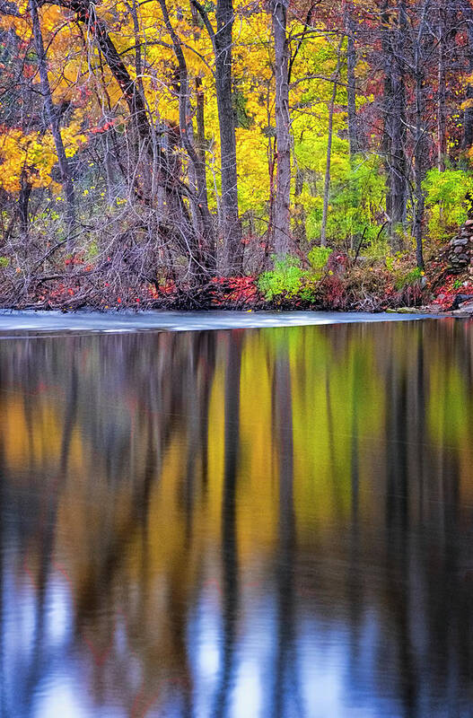 Lake Reflection Art Print featuring the photograph Autumn Reflection III by Tom Singleton