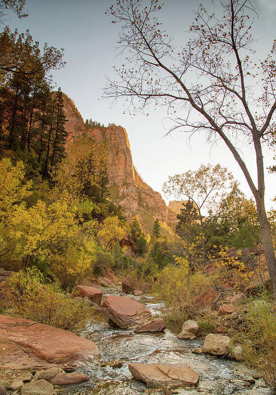 Zion Sunset Art Print featuring the photograph Autumn sunset in Zion by Kunal Mehra
