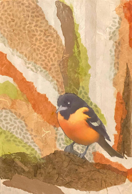 Bird Art Print featuring the mixed media Balltimore Oriole Collage by Jessica Levant