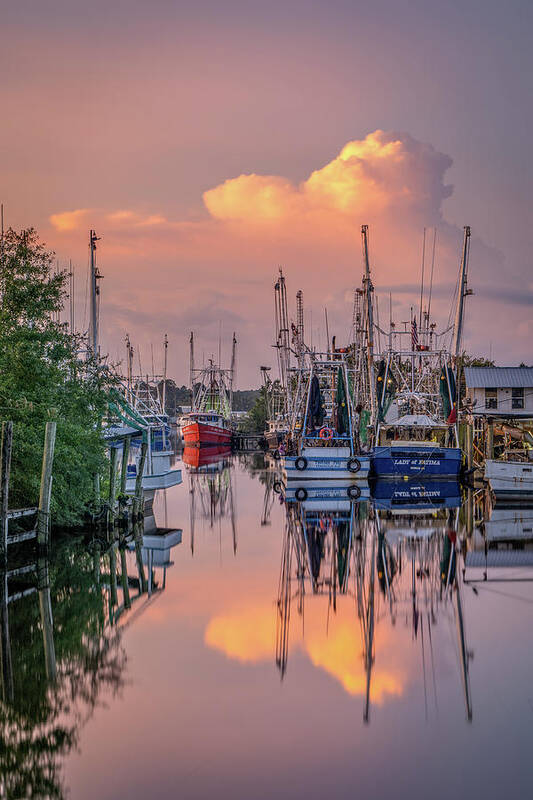 Bayou Art Print featuring the photograph Bayou Morning, 9-9-20 by Brad Boland