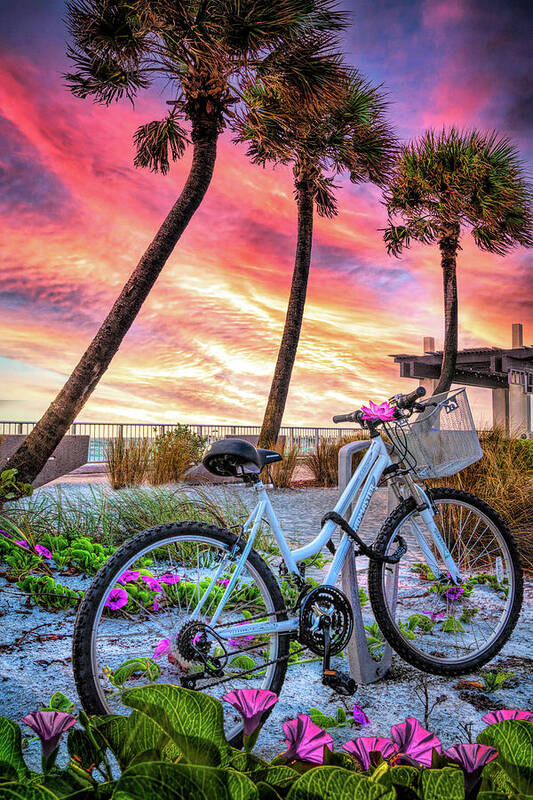 Bike Art Print featuring the photograph Beach Bike in the Morning Glories by Debra and Dave Vanderlaan