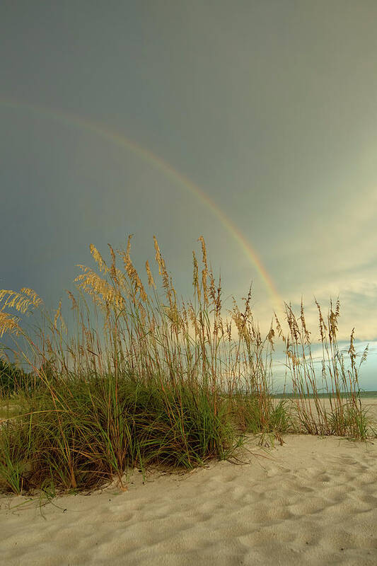 Beach Art Print featuring the photograph Beach Rainbow by Carolyn Hutchins