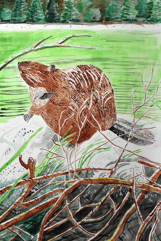 Beaver Buddy Art Print featuring the painting Beaver Buddy by Wynn Derr