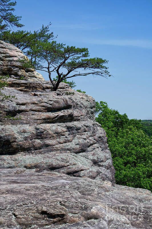 View Art Print featuring the photograph Bee Rock Overlook 10 by Phil Perkins
