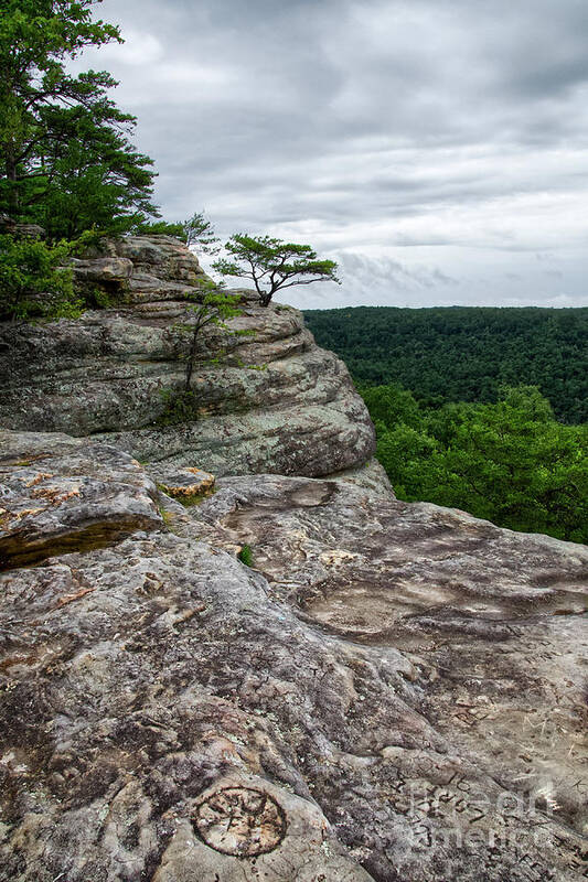 View Art Print featuring the photograph Bee Rock Overlook 3 by Phil Perkins