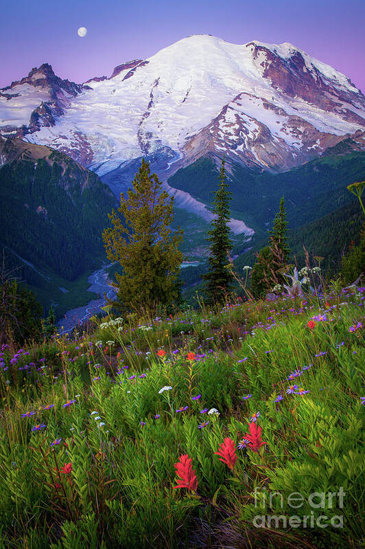 America Art Print featuring the photograph Before Dawn at Mount Rainier by Inge Johnsson