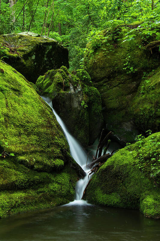 Great Smoky Mountains National Park Art Print featuring the photograph Below 1000 Drips 1 by Melissa Southern